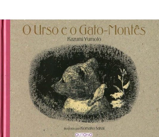 O Urso e o Gato-Montês